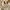 JAPANESE BRAND JOURNAL STANDART STREETWEAR SUPER WIDE GERMAN photo 5
