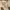 JAPANESE BRAND JOURNAL STANDART STREETWEAR SUPER WIDE GERMAN photo 4