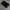Porter Yoshida Luxury Casual Bag Pria black photo 6