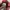 Supreme Banner Water Short photo 5
