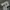 Adidas Streetwear Casual Bag Pria multicolor photo 6