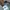 Adidas Streetwear Casual Bag Pria multicolor photo 7