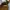 Dr martens adrian tassel BARRET white&navy photo 4