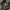 Vanson Leathers photo 6