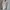 vintage 00's detroid dickies size Learge photo 3