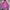 Arc'teryx Streetwear Gorpcore Windbreaker Pria Multicolor