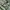 Columbia Gorpcore Casual Hoody Pria Green
