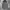 Nike ACG Gorpcore Sportswear Puffer jacket Pria gray photo 2