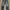 VISVIM selvedge denim photo 2