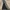 Nike Y2K Windbreaker Pria black gray photo 1