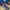Adidas Y2K Casual Casual shoe Pria navy photo 2