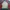 Elstinko Casual Sweatshirt Pria white red photo 6