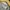 Dyclez MFG SEOUL Work Plaie Lined Canvas Drizzler Jacket photo 6