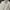 Dyclez MFG SEOUL Work Plaie Lined Canvas Drizzler Jacket photo 5