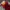 KAWS SESAME STREET PLUS LIMITED ELMO photo 5