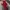 KAWS SESAME STREET PLUS LIMITED ELMO photo 4