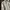 Design Factory Korean Cotton Varsity Jacket photo 7