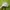 Jean-Michel Basquiat Streetwear Casual Hat Pria white black photo 4