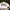 Jean-Michel Basquiat Streetwear Casual Hat Pria white black photo 2