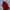 Arsenal Home 26/27 Player Issue