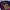 Barcelona Home 26/27 Player issue photo 3