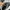 Puma Streetwear Sneakers Pria black photo 2