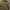 Hoodie The Man Army Color