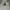 Adidas Avant Garde Hoody Pria white photo 1