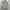 Atasan Kemeja Casual Motif Floral & Buah
