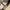 Realtree hats, New Holland , Tage from K-products photo 6