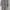 Luxury Casual dress Wanita multicolor photo 1