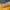 OUTER BAJU NO BUTTONS YELLOW KUNING MUSTARD  photo 2