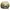 Miu Miu Luxury Hat Wanita tan photo 4