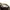 Miu Miu Luxury Hat Wanita tan photo 6