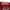 ECKO UNLTD Streetwear Skater Hat Pria burgundy photo 6