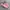 Adidas Casual Sneakers Wanita white pink photo 1