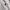 Polo Ralph Lauren Hoodie Y2K Gray Barcode Full thermal photo 3