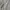 Marc Jacobs Luxury Minimalist Handbag Wanita tan photo 7