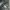 Adidas Luxury Minimalist Sandals & slide Pria green photo 3