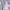 Anne Fontaine Ruffle Blouse