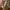 Sepatu Converse x Tyler the Creator  photo 5