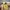 Sepatu Converse x Tyler the Creator  photo 2