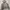 Polo Ralph Lauren Hoodie Zip Gray Y2K photo 2