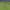 Umbro Double Cut Long Sleeve Piste Green  photo 4