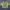 Umbro Double Cut Long Sleeve Piste Green  photo 3