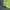 Umbro Double Cut Long Sleeve Piste Green  photo 5
