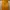Streetwear Sportswear Fleece Pria yellow photo 2