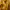Streetwear Sportswear Fleece Pria yellow photo 4
