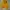 Streetwear Sportswear Fleece Pria yellow photo 5
