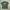 Kaos Lari Pria Motif Serat Army Stretchy Size XL photo 2